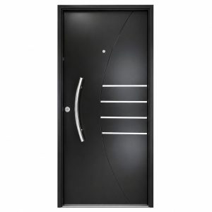 Puerta Doble Chapa Inyectada Pavir 16 Barral